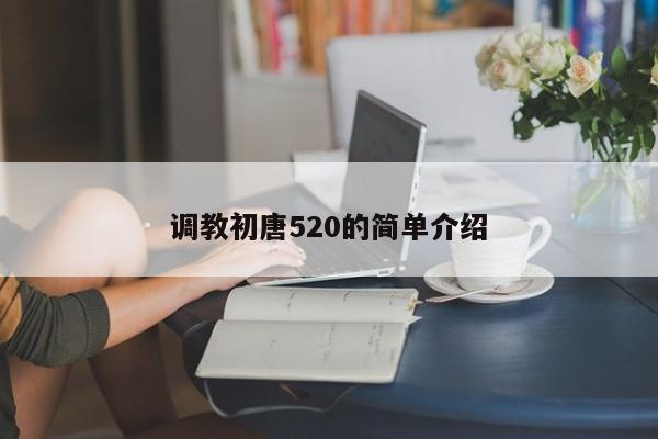 调教初唐520的简单介绍