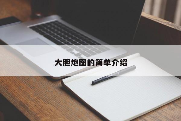大胆炮图的简单介绍