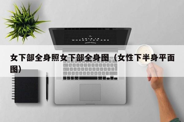 女下部全身照女下部全身图(女性下半身平面图)