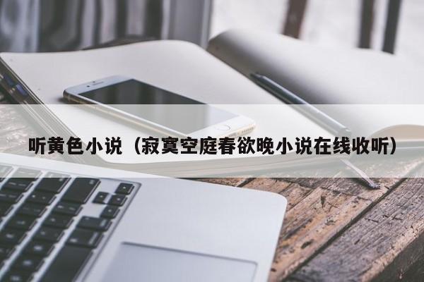 听黄色小说(寂寞空庭春欲晚小说在线收听)