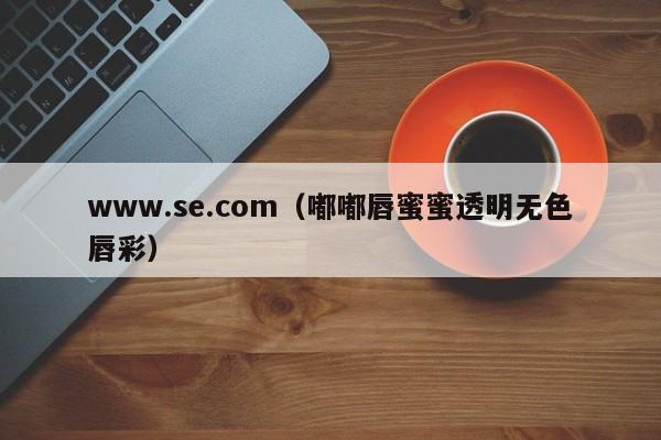 www.se.com(嘟嘟唇蜜蜜透明无色唇彩)