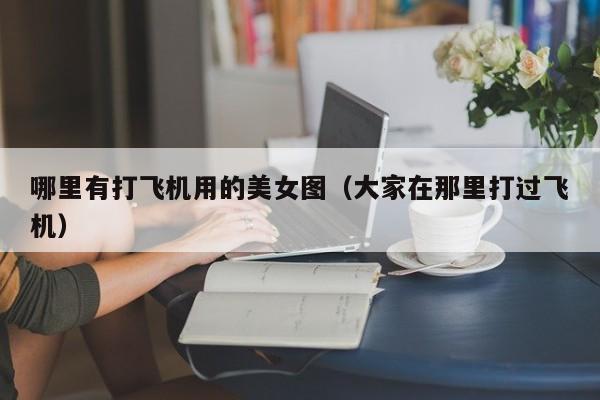 哪里有打飞机用的美女图(大家在那里打过飞机)