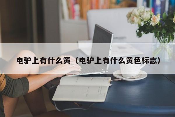 电驴上有什么黄(电驴上有什么黄色标志)