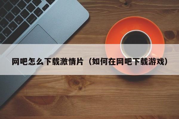 网吧怎么下载激情片(如何在网吧下载游戏)