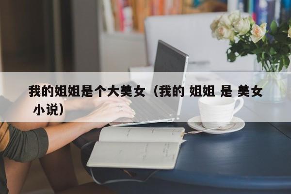 我的姐姐是个大美女(我的 姐姐 是 美女 小说)