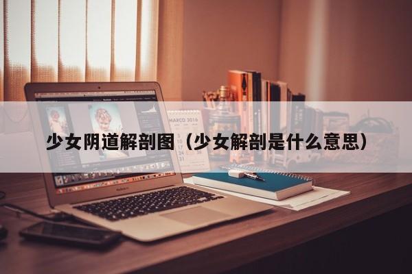 少女阴道解剖图(少女解剖是什么意思)