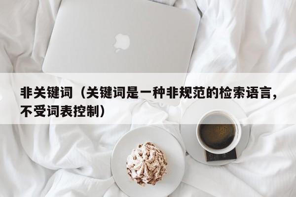 非关键词(关键词是一种非规范的检索语言,不受词表控制)