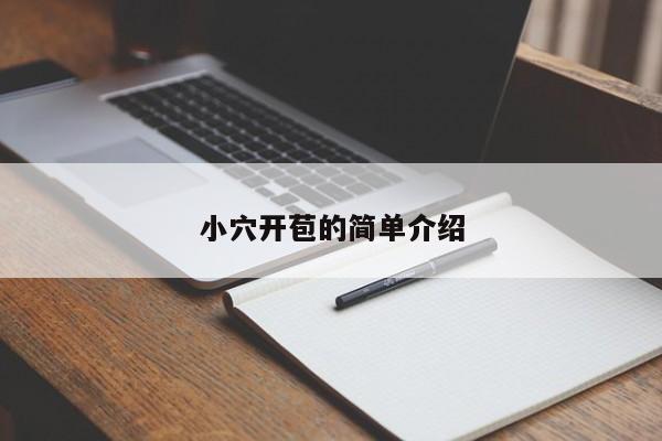 小穴开苞的简单介绍