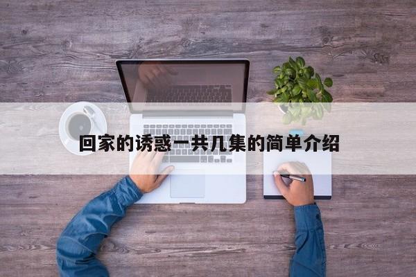 回家的诱惑一共几集的简单介绍