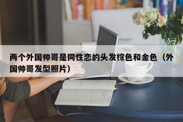 两个外国帅哥是同性恋的头发棕色和金色(外国帅哥发型照片)