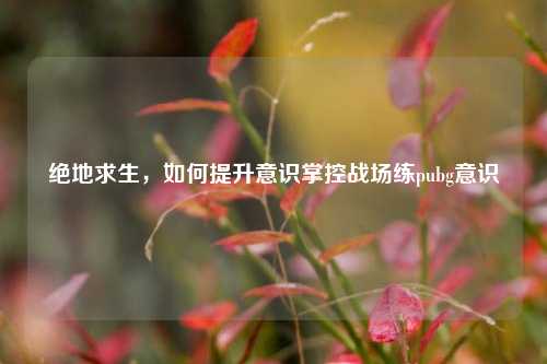 绝地求生，如何提升意识掌控战场练pubg意识