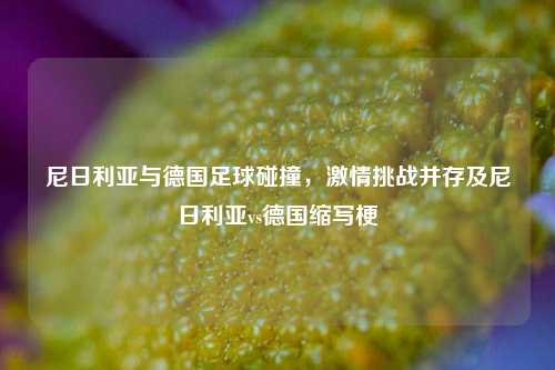 尼日利亚与德国足球碰撞，激情挑战并存及尼日利亚vs德国缩写梗