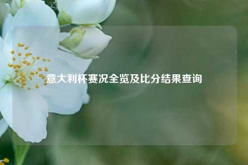 意大利杯赛况全览及比分结果查询