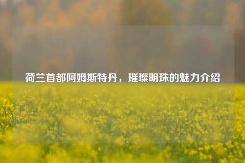 荷兰首都阿姆斯特丹，璀璨明珠的魅力介绍