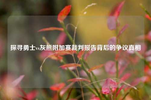 探寻勇士vs灰熊附加赛裁判报告背后的争议真相