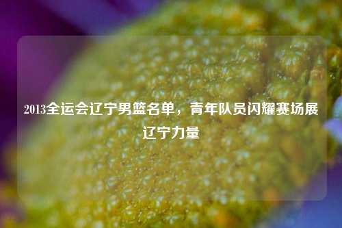 2013全运会辽宁男篮名单，青年队员闪耀赛场展辽宁力量