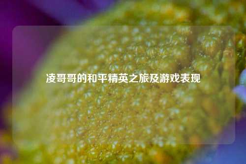 凌哥哥的和平精英之旅及游戏表现
