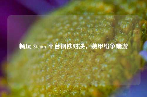 畅玩 Steam 平台钢铁对决，装甲纷争端游