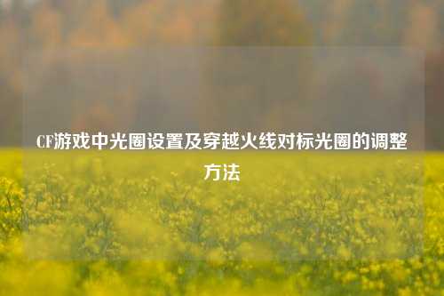 CF游戏中光圈设置及穿越火线对标光圈的调整方法