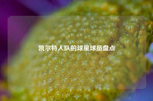 凯尔特人队的球星球员盘点
