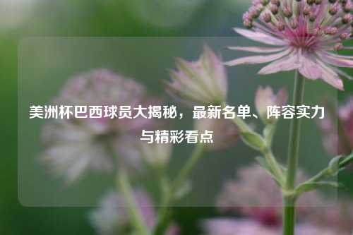 美洲杯巴西球员大揭秘，最新名单、阵容实力与精彩看点