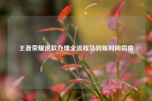 王者荣耀退款办理全流程及到账时间指南