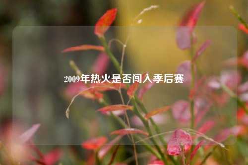 2009年热火是否闯入季后赛