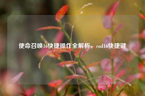 使命召唤16快捷操作全解析，cod16快捷键