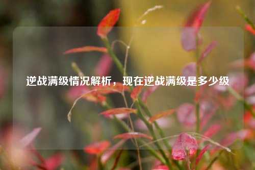 逆战满级情况解析，现在逆战满级是多少级