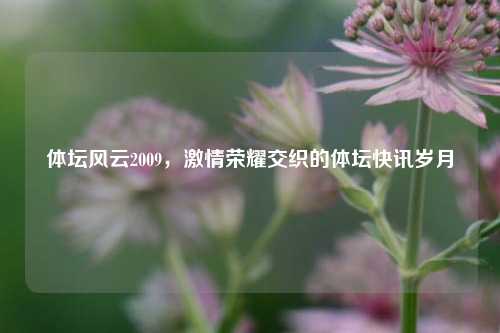 体坛风云2009，激情荣耀交织的体坛快讯岁月