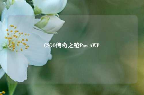 CSGO传奇之枪Paw AWP
