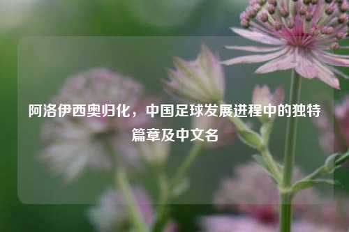 阿洛伊西奥归化，中国足球发展进程中的独特篇章及中文名