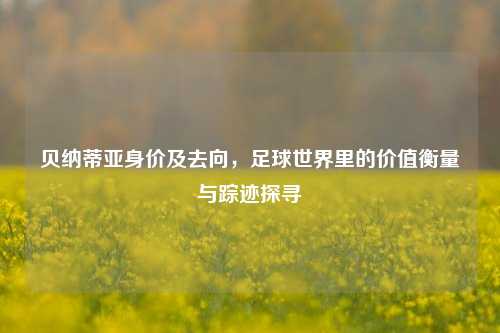 贝纳蒂亚身价及去向，足球世界里的价值衡量与踪迹探寻