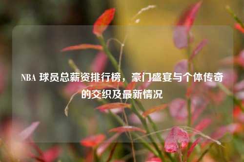 NBA 球员总薪资排行榜，豪门盛宴与个体传奇的交织及最新情况