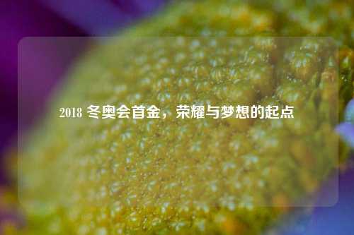 2018 冬奥会首金，荣耀与梦想的起点