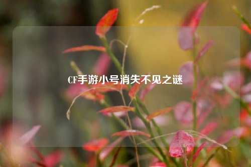 CF手游小号消失不见之谜
