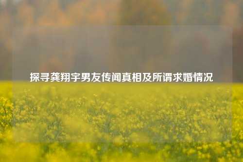 探寻龚翔宇男友传闻真相及所谓求婚情况