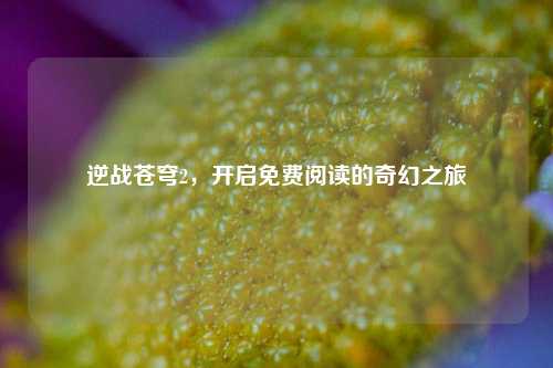逆战苍穹2，开启免费阅读的奇幻之旅