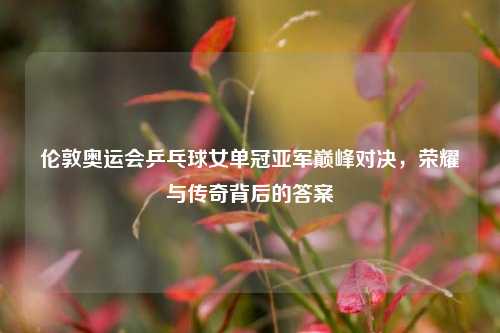 伦敦奥运会乒乓球女单冠亚军巅峰对决，荣耀与传奇背后的答案