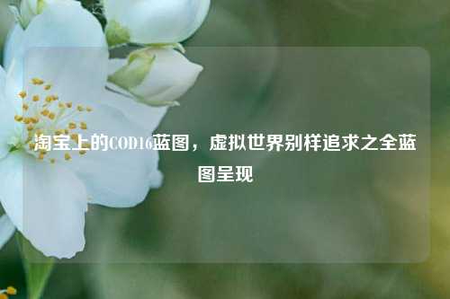 淘宝上的COD16蓝图，虚拟世界别样追求之全蓝图呈现