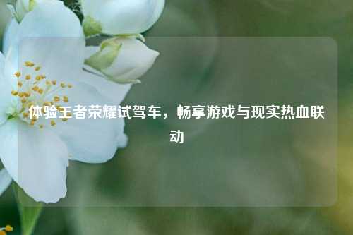 体验王者荣耀试驾车，畅享游戏与现实热血联动