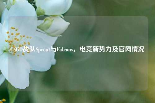 CSGO战队Sprout与Falcons，电竞新势力及官网情况