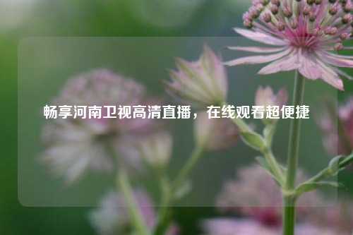 畅享河南卫视高清直播，在线观看超便捷