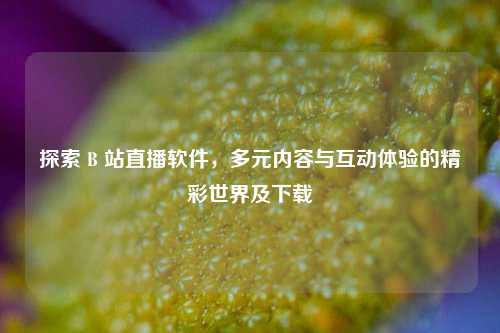 探索 B 站直播软件，多元内容与互动体验的精彩世界及下载