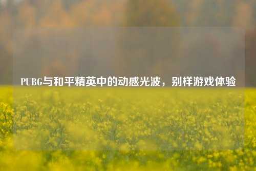 PUBG与和平精英中的动感光波，别样游戏体验