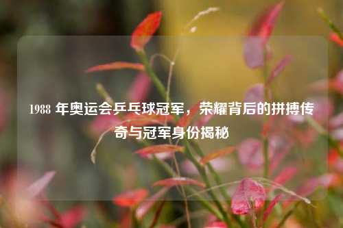 1988 年奥运会乒乓球冠军，荣耀背后的拼搏传奇与冠军身份揭秘