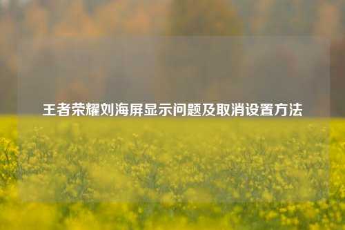王者荣耀刘海屏显示问题及取消设置方法