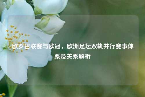欧罗巴联赛与欧冠，欧洲足坛双轨并行赛事体系及关系解析