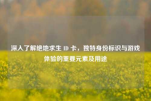 深入了解绝地求生 ID 卡，独特身份标识与游戏体验的重要元素及用途