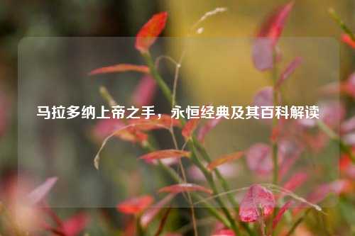 马拉多纳上帝之手，永恒经典及其百科解读